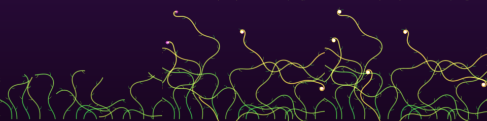 072 Vine Waltz preview